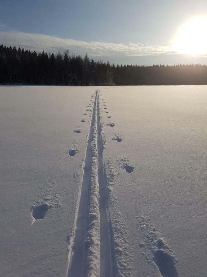 Loma-Paelsilae Lakeside Villa Kuhmoinen ภายนอก รูปภาพ
